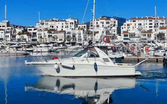 Sea Ray 340 Amberjack d’occasion à vendre