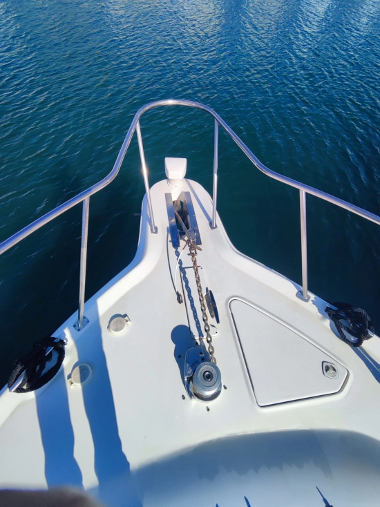 Sea Ray 340 Amberjack d’occasion à vendre