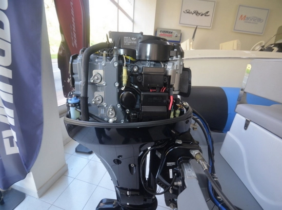 Cobra Ribs 480 gebrauchtes zum verkauf