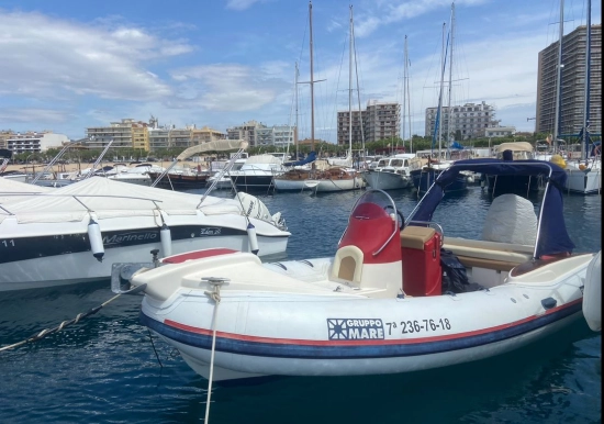 GRUPO MARES PHOLAS 19 preowned for sale