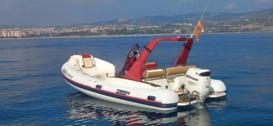 GRUPO MARES PHOLAS 19 preowned for sale