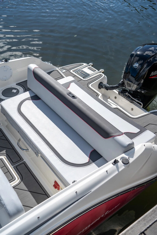 Bayliner ELEMENT M19 neu zum verkauf