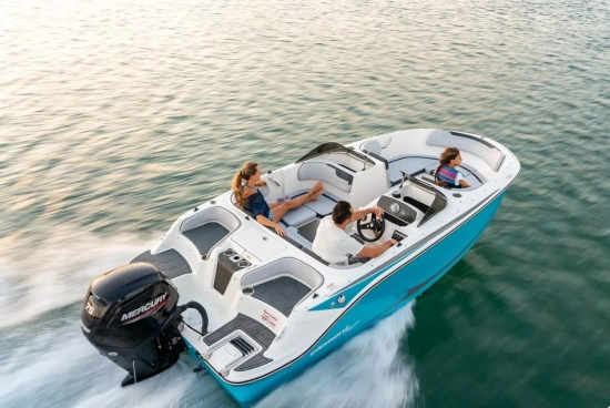 Bayliner ELEMENT M17 neu zum verkauf