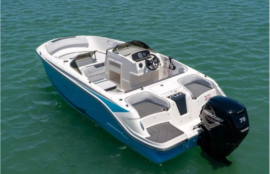 Bayliner ELEMENT M17 neu zum verkauf