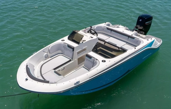 Bayliner ELEMENT M17 neu zum verkauf