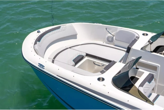 Bayliner ELEMENT M17 neu zum verkauf