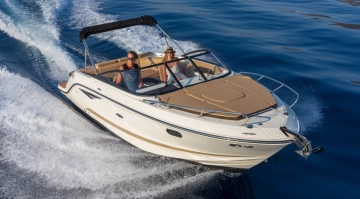 Sea Ray SUNSPORT 250 neu zum verkauf