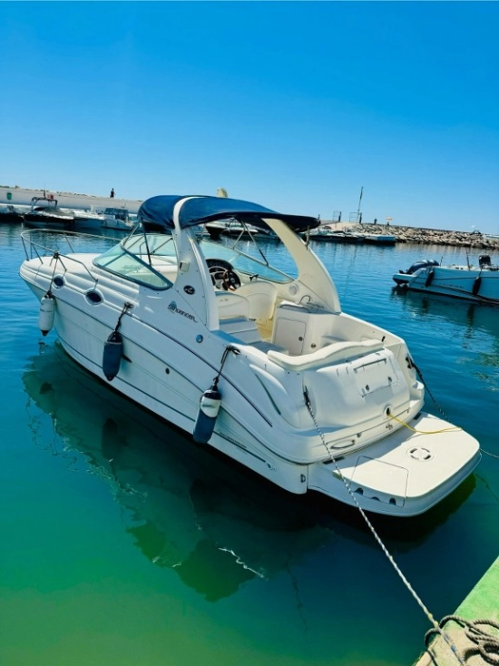 Sea Ray Sundancer 315 gebraucht zum verkauf