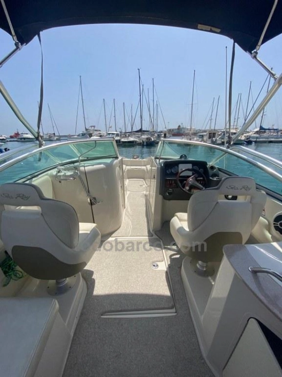 Sea Ray 260 SD gebraucht zum verkauf