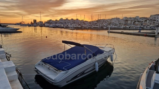 Sea Ray 230 gebraucht zum verkauf