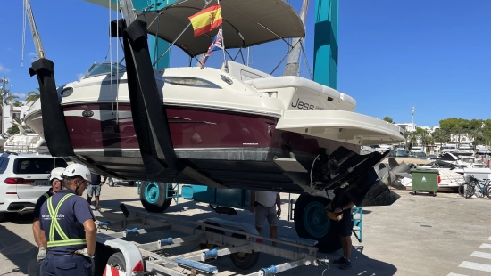 Sea Ray Sundeck 280 gebraucht zum verkauf