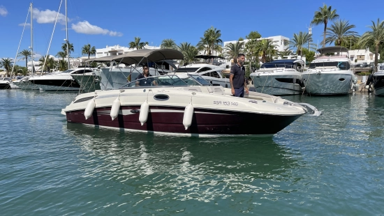 Sea Ray Sundeck 280 gebraucht zum verkauf