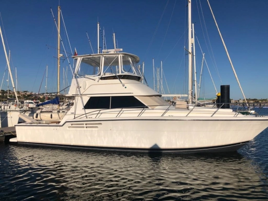 Tiara 43 preowned for sale