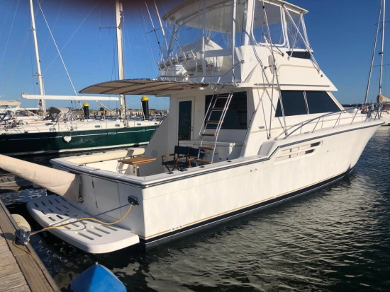 Tiara 43 preowned for sale