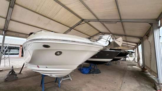 Sea Ray SDX 250 brand new for sale