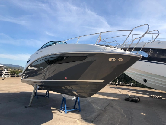 Sea Ray 265 brand new for sale