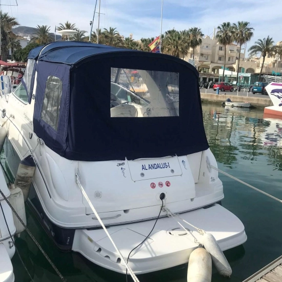 Sea Ray Sundancer 315 preowned for sale