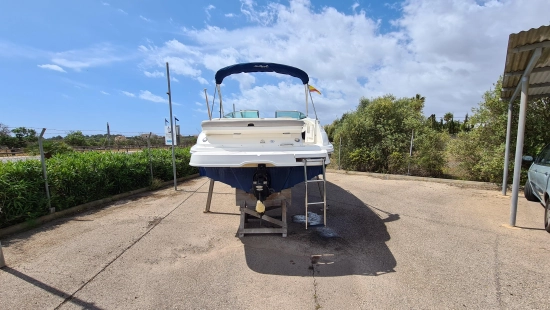 Sea Ray Sundeck 240 preowned for sale