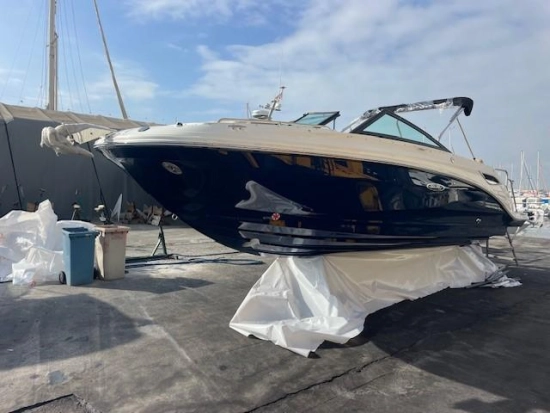 Sea Ray SDX 250 brand new for sale