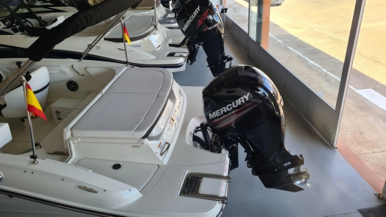 Sea Ray SPX 190 Outboard preowned for sale