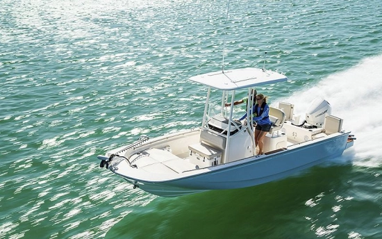 Boston Whaler 210 Montauk neu zum verkauf