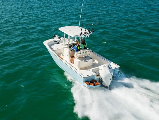 Boston Whaler 210 Montauk neu zum verkauf