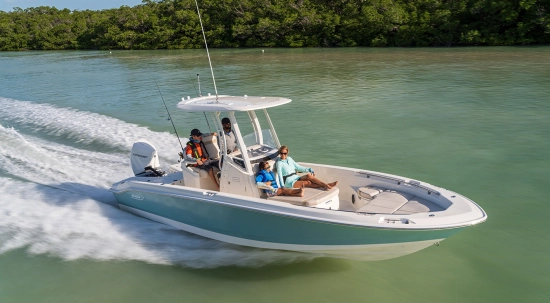 Boston Whaler 250 Dauntless neuf à vendre