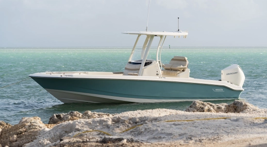 Boston Whaler 250 Dauntless neuf à vendre