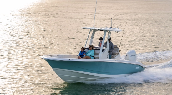 Boston Whaler 250 Dauntless neuf à vendre