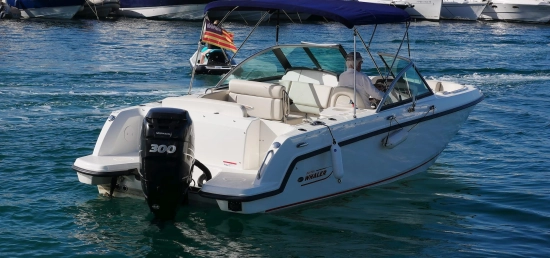 Boston Whaler 230 Vantage d’occasion à vendre