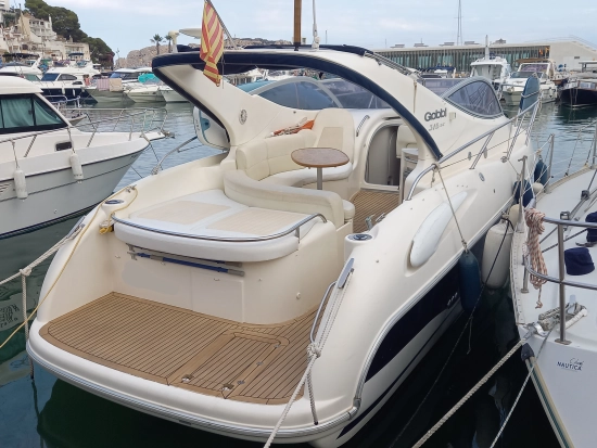 Gobbi 315 SC preowned for sale