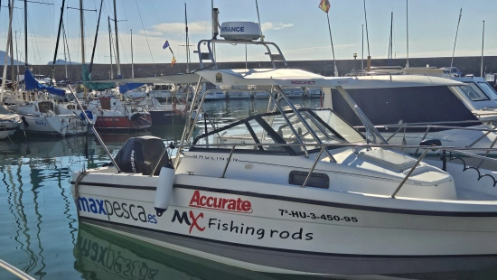 Bayliner 2002 Trophy d’occasion à vendre