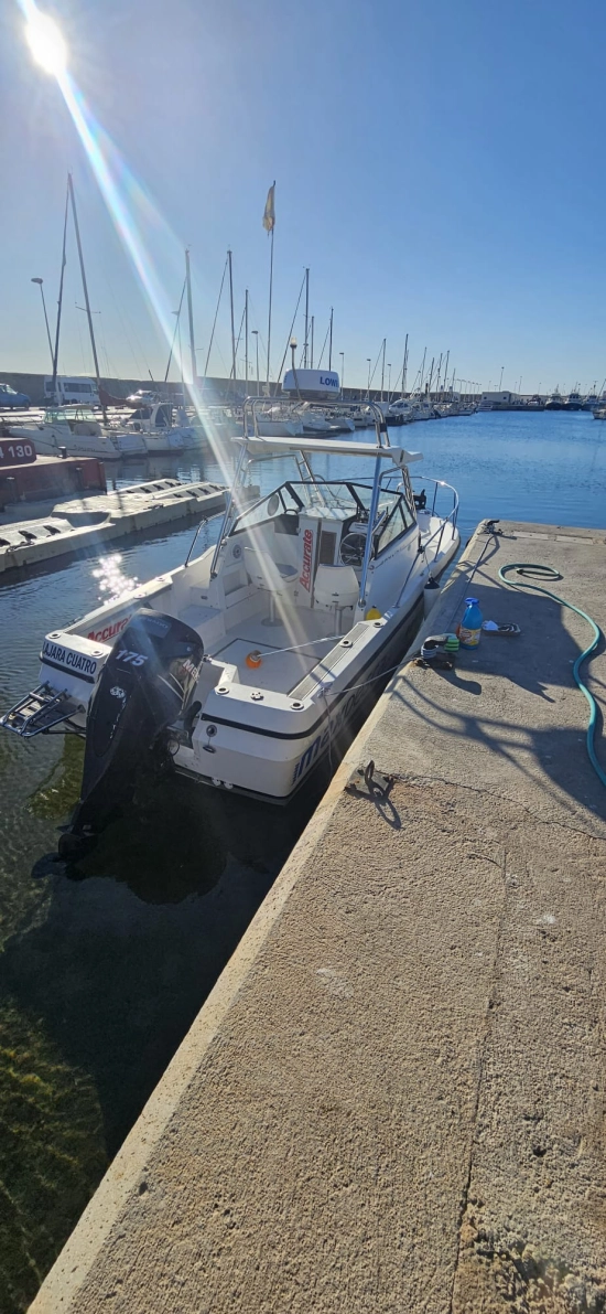 Bayliner 2002 Trophy d’occasion à vendre