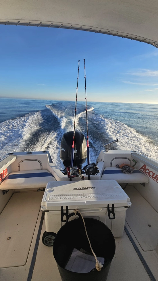 Bayliner 2002 Trophy d’occasion à vendre