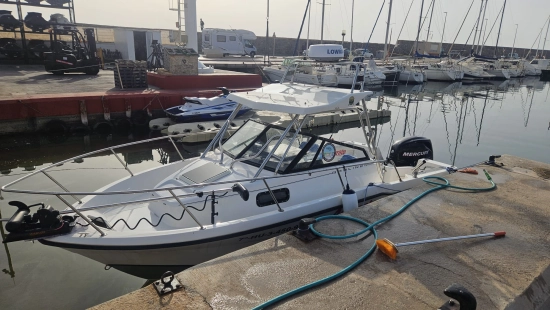 Bayliner 2002 Trophy d’occasion à vendre