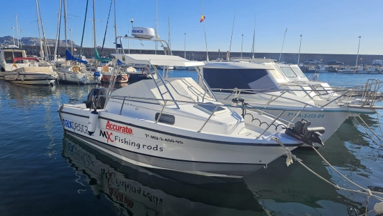 Bayliner 2002 Trophy d’occasion à vendre