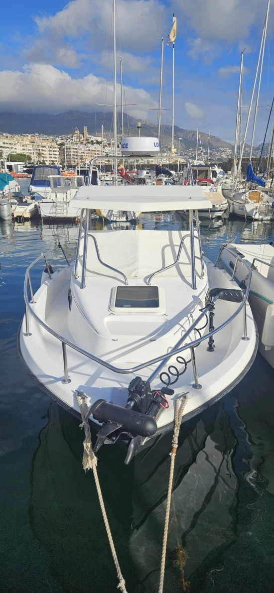 Bayliner 2002 Trophy d’occasion à vendre