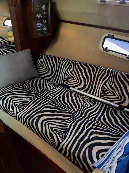 Bayliner 340 d’occasion à vendre