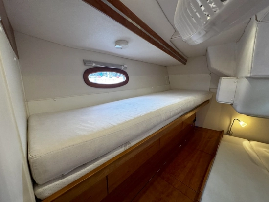 Hanse 531 E WHITE NIGHT preowned for sale