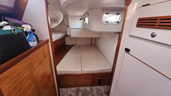 Hanse 531 E WHITE NIGHT preowned for sale