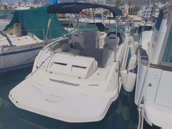 Sea Ray Sundeck 260 gebraucht zum verkauf