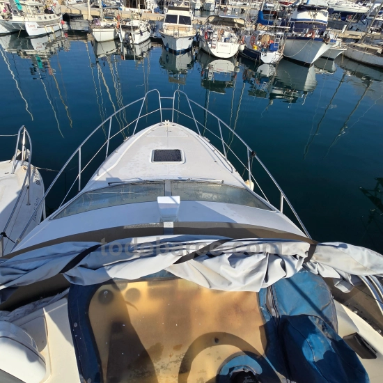 Sealine F33 d’occasion à vendre