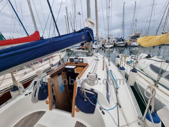 Hanse 301 d’occasion à vendre