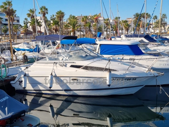 Bayliner Ciera 2355 Sunbridge d’occasion à vendre