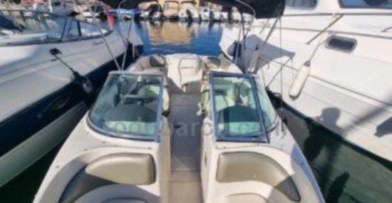 Sea Ray 180 Sport d’occasion à vendre