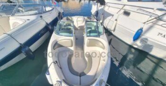 Sea Ray 180 Sport d’occasion à vendre