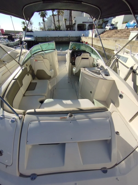 Sea Ray Sundeck 260 preowned for sale