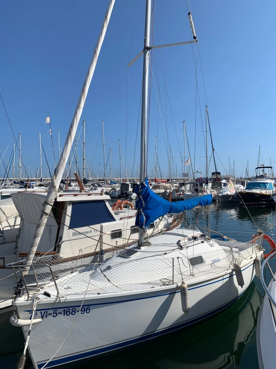 Gib Sea Sailing Yachts 234 gebraucht zum verkauf