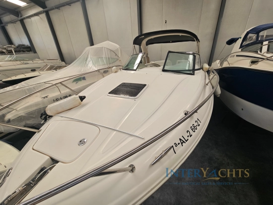 Sea Ray 290 Ss d’occasion à vendre