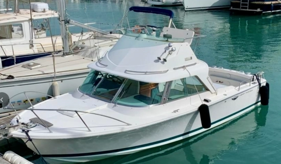 Riva BERTRAM SPORT FISHERMAN 25 gebraucht zum verkauf